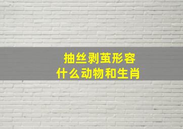 抽丝剥茧形容什么动物和生肖