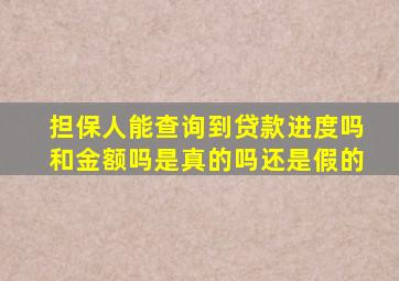 担保人能查询到贷款进度吗和金额吗是真的吗还是假的