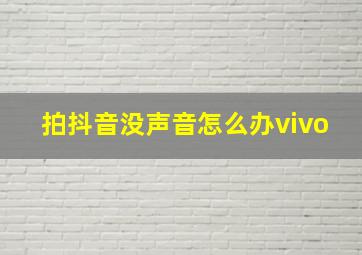 拍抖音没声音怎么办vivo