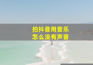 拍抖音用音乐怎么没有声音