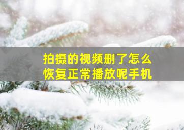 拍摄的视频删了怎么恢复正常播放呢手机