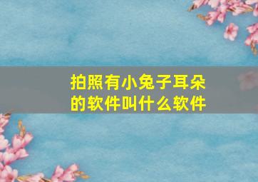 拍照有小兔子耳朵的软件叫什么软件