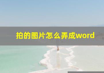 拍的图片怎么弄成word