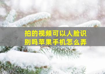 拍的视频可以人脸识别吗苹果手机怎么弄