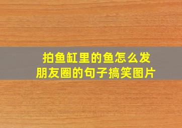 拍鱼缸里的鱼怎么发朋友圈的句子搞笑图片