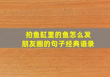 拍鱼缸里的鱼怎么发朋友圈的句子经典语录