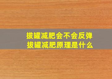 拔罐减肥会不会反弹 拔罐减肥原理是什么