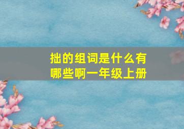 拙的组词是什么有哪些啊一年级上册