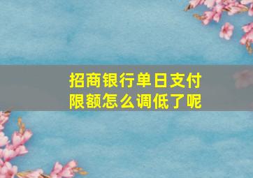 招商银行单日支付限额怎么调低了呢