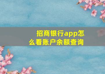 招商银行app怎么看账户余额查询