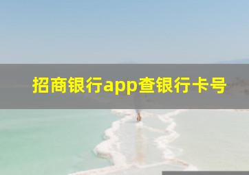 招商银行app查银行卡号