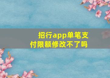 招行app单笔支付限额修改不了吗