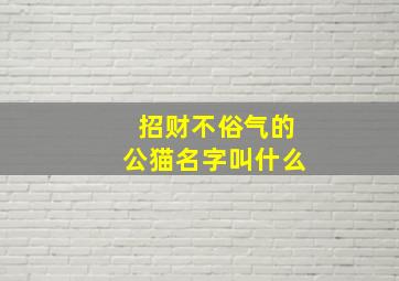 招财不俗气的公猫名字叫什么