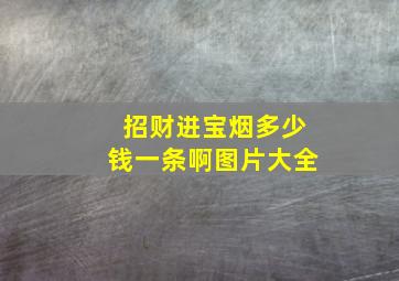 招财进宝烟多少钱一条啊图片大全