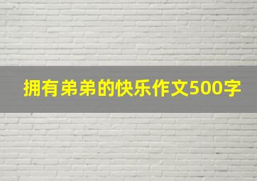 拥有弟弟的快乐作文500字