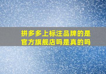 拼多多上标注品牌的是官方旗舰店吗是真的吗