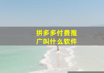 拼多多付费推广叫什么软件