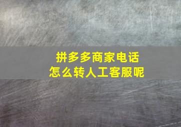 拼多多商家电话怎么转人工客服呢