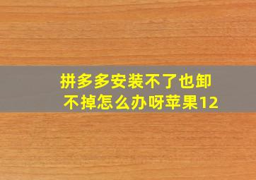 拼多多安装不了也卸不掉怎么办呀苹果12