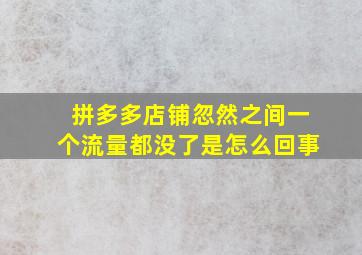 拼多多店铺忽然之间一个流量都没了是怎么回事