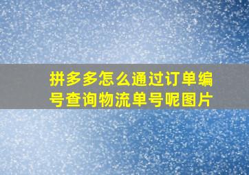 拼多多怎么通过订单编号查询物流单号呢图片