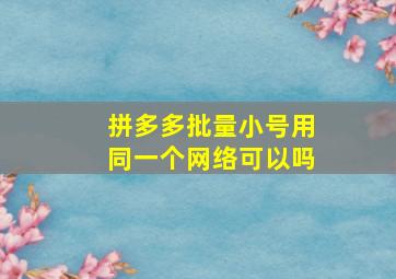 拼多多批量小号用同一个网络可以吗