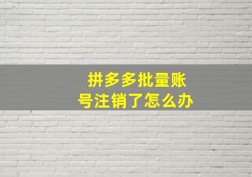 拼多多批量账号注销了怎么办