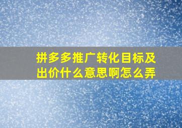 拼多多推广转化目标及出价什么意思啊怎么弄