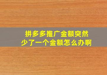 拼多多推广金额突然少了一个金额怎么办啊