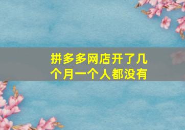 拼多多网店开了几个月一个人都没有