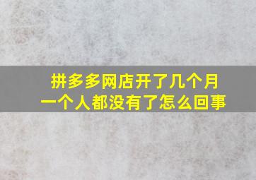 拼多多网店开了几个月一个人都没有了怎么回事