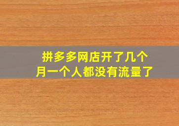 拼多多网店开了几个月一个人都没有流量了