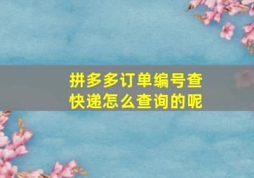 拼多多订单编号查快递怎么查询的呢