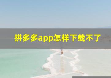 拼多多app怎样下载不了