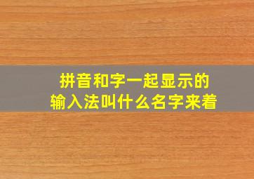 拼音和字一起显示的输入法叫什么名字来着