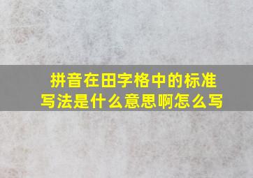 拼音在田字格中的标准写法是什么意思啊怎么写