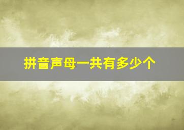 拼音声母一共有多少个