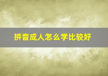 拼音成人怎么学比较好