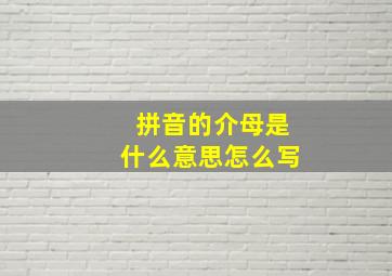 拼音的介母是什么意思怎么写