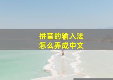 拼音的输入法怎么弄成中文