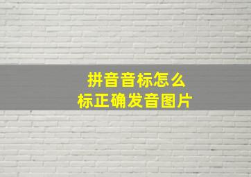 拼音音标怎么标正确发音图片