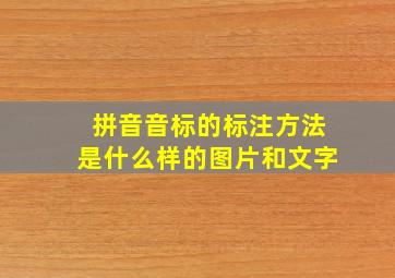 拼音音标的标注方法是什么样的图片和文字