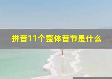 拼音11个整体音节是什么