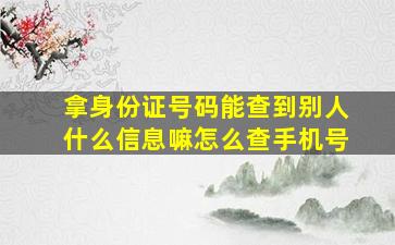 拿身份证号码能查到别人什么信息嘛怎么查手机号