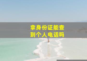 拿身份证能查到个人电话吗