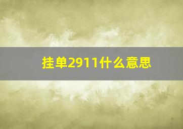 挂单2911什么意思