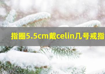 指圈5.5cm戴celin几号戒指e