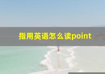 指用英语怎么读point