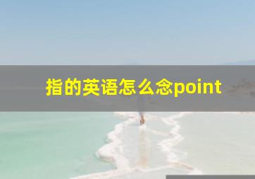 指的英语怎么念point