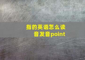 指的英语怎么读音发音point